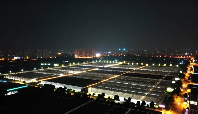如何利用信息查询平台提高贸易效率？